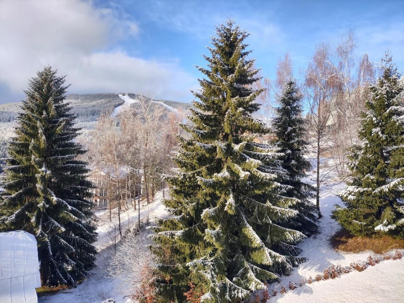 Pension Kubu Apartment 3 Samostatny Byt S Kuchyni Špindlerŭv Mlýn 外观 照片